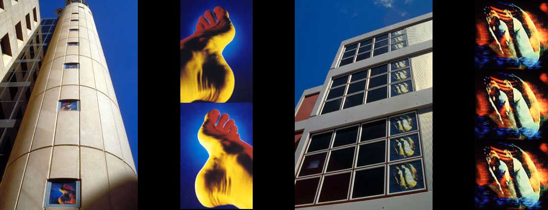 Images of works installed in the windows of buildings in Sydney